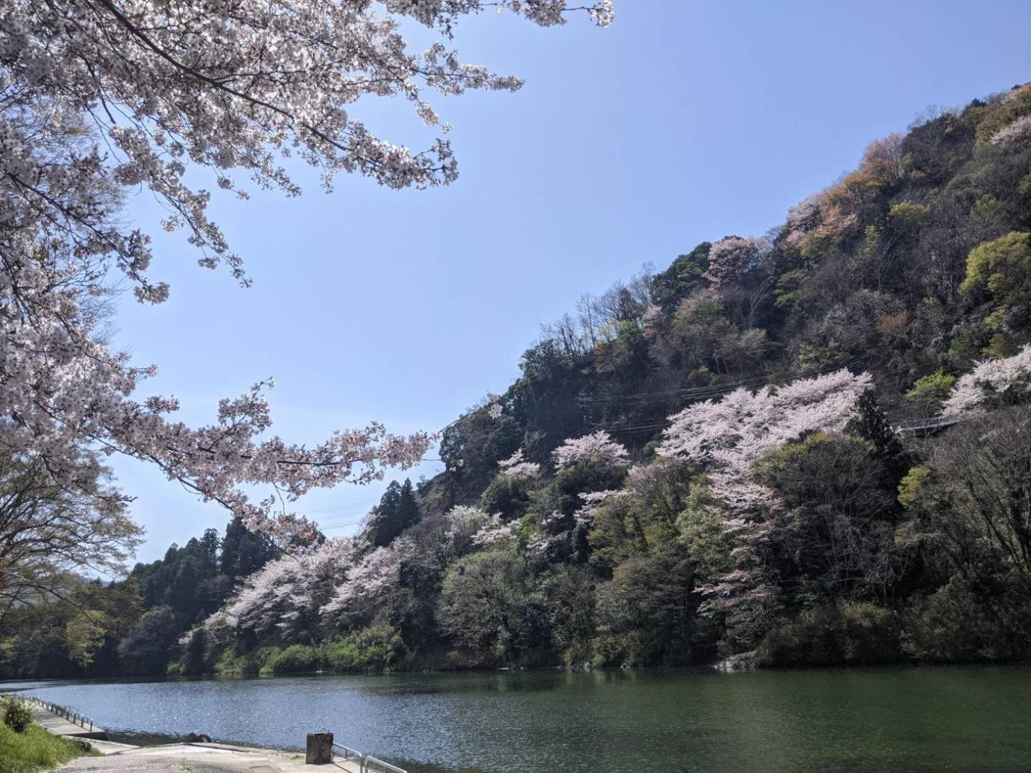 加美屋リゾート伊勢神宮 おかげの庭 Villa Isze Kültér fotó