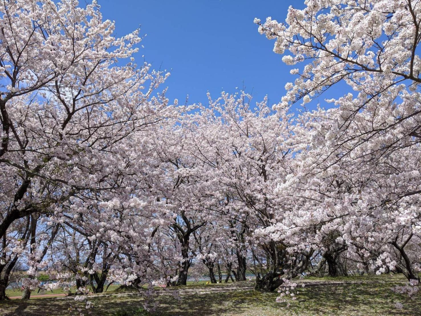 加美屋リゾート伊勢神宮 おかげの庭 Villa Isze Kültér fotó